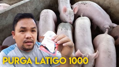 PAANO PANATILIHING MAGANANG KUMAIN ANG ATING .